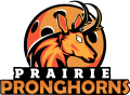 Pronghorns